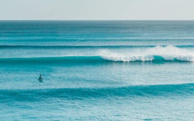 Comment lire les prévisions de surf quand on débute ? Notre guide simple et concret